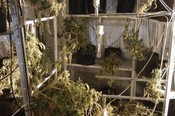 Почему не получается зайти на кракен