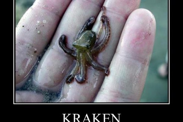 Вход на кракен