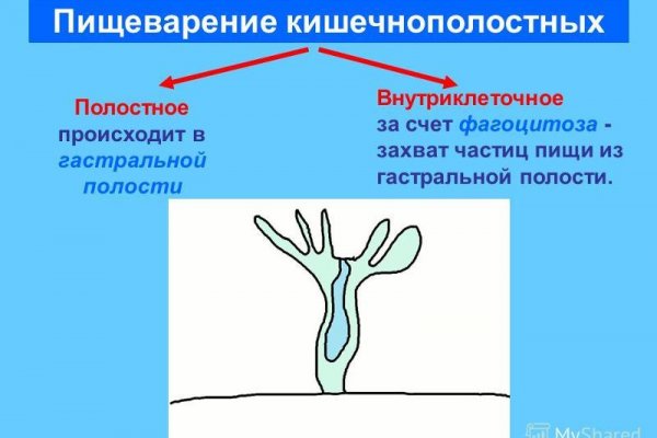 Кракен зайти