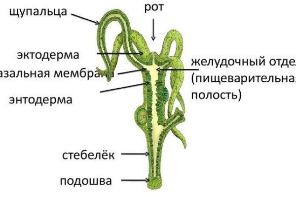 Кракен в обход