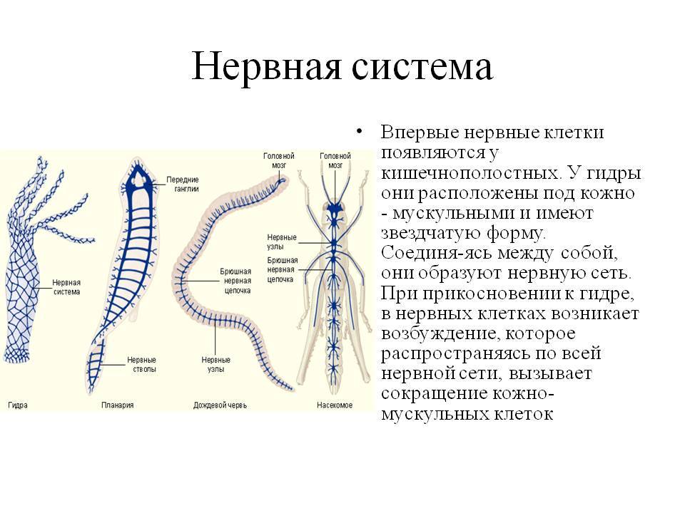 Кракен сайт регистрация